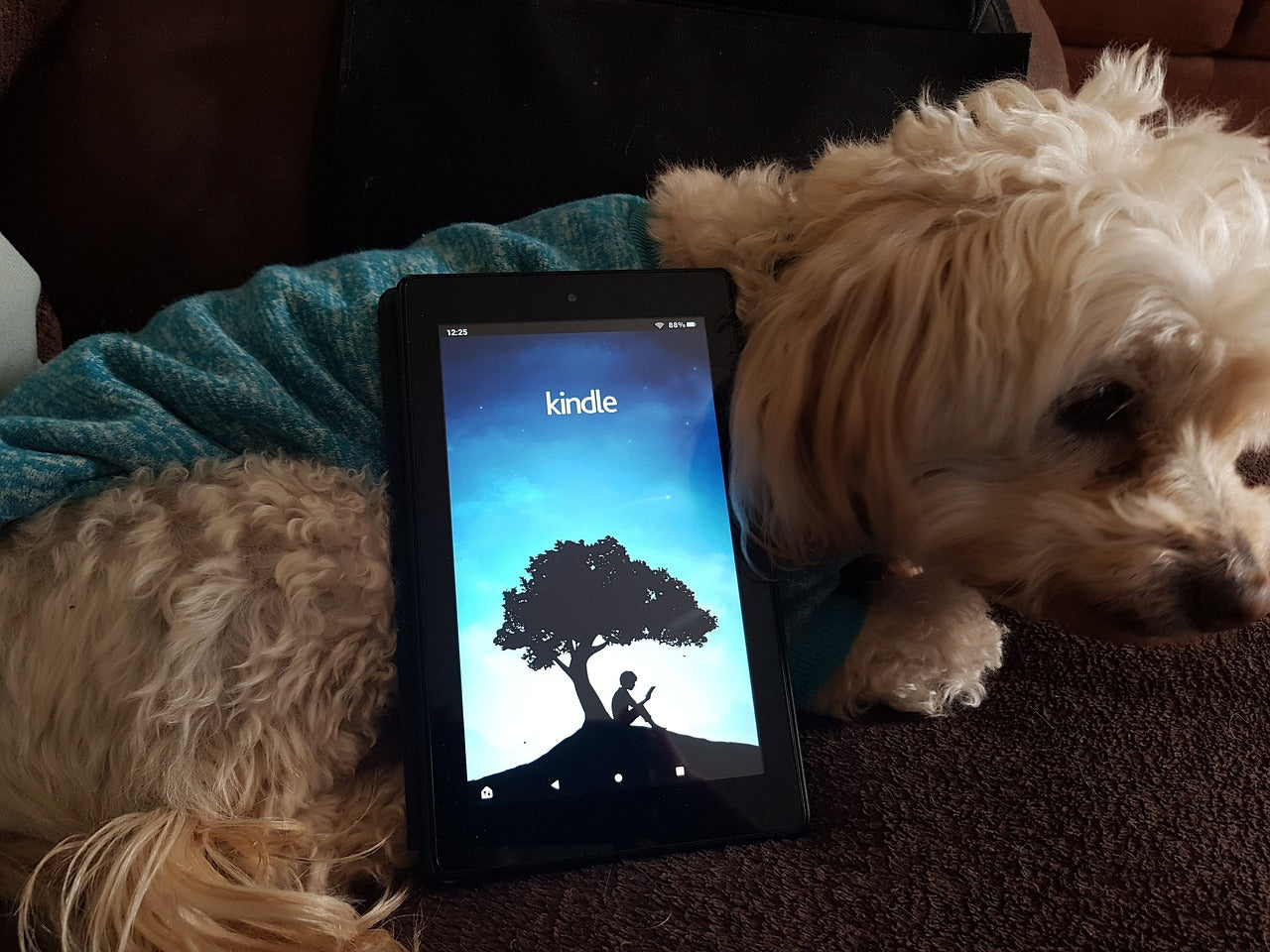 Minpaku Customer Attraction Consultant "Kindle"